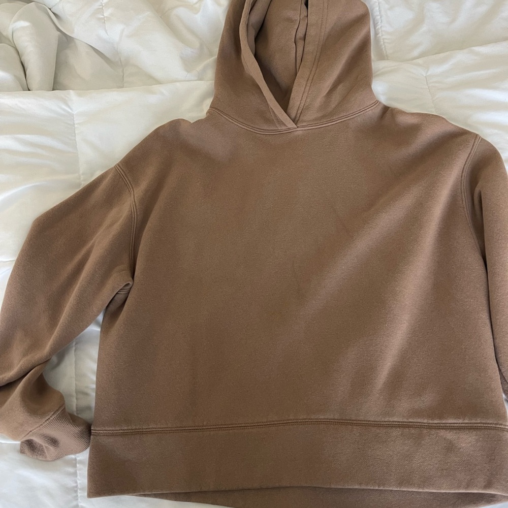 Zara Tan Hooded Sweatshirt